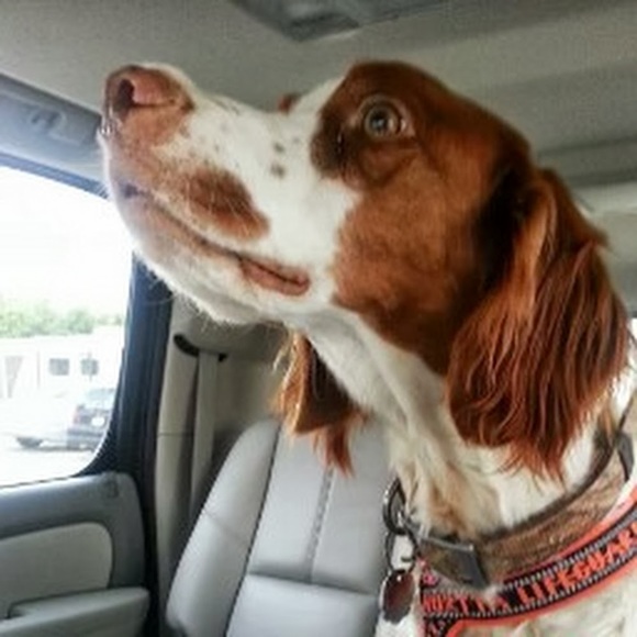 Meet your Posher, Monica - Picture 1 of 1